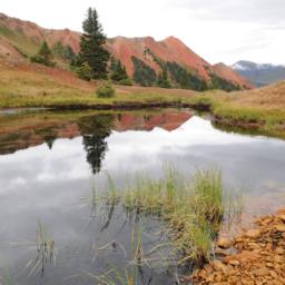 Grey Copper Gulch, CO